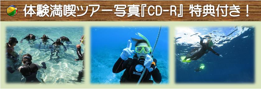 体験ダイビング写真CD-Rの特典付き
