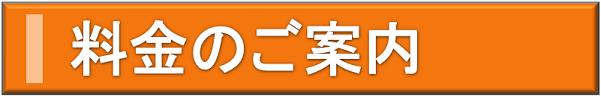ファンダイビング料金