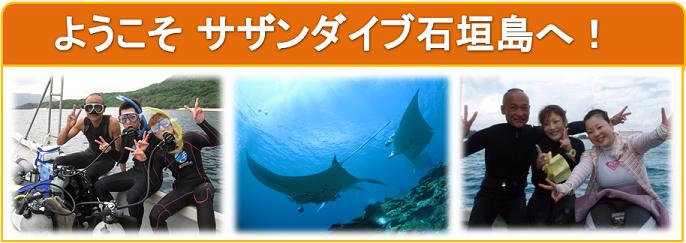 楽しいダイビングならサザンダイブ石垣島