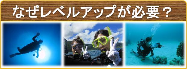 レベルアップ講習の必要性