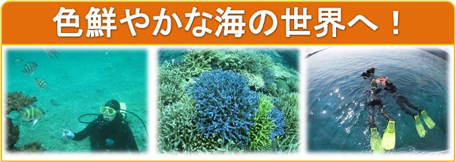 石垣島で体験ダイビングとシュノーケリングコース