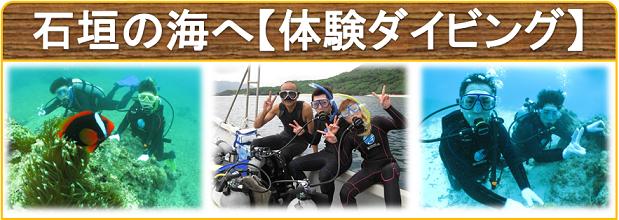 体験ダイビングで石垣島に潜る