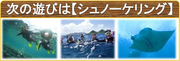 体験ダイブの次はスノーケリング