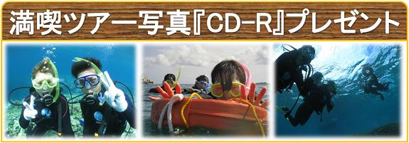 体験ツアー水中写真CD-Rプレゼント
