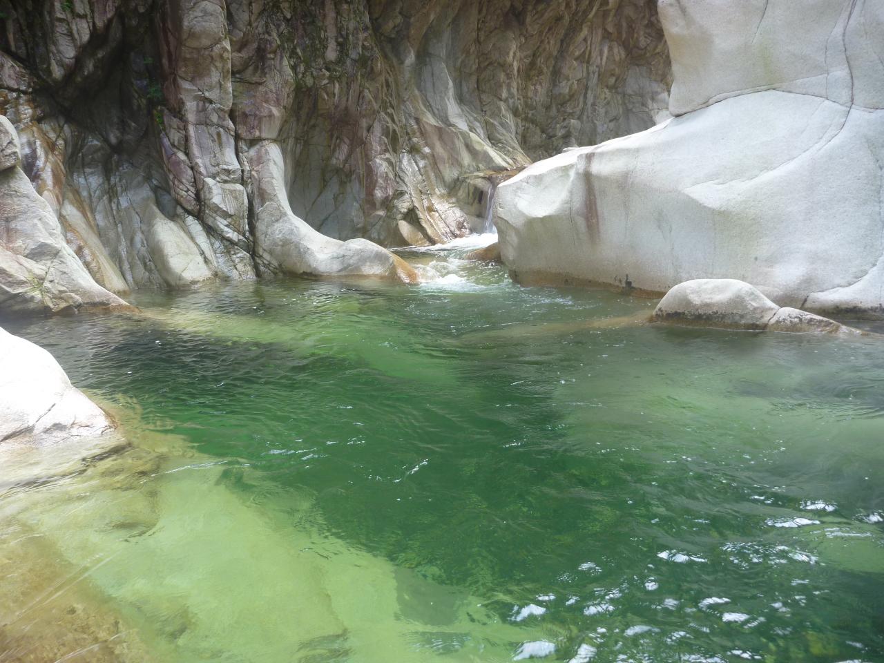 20170719神崎川の写真