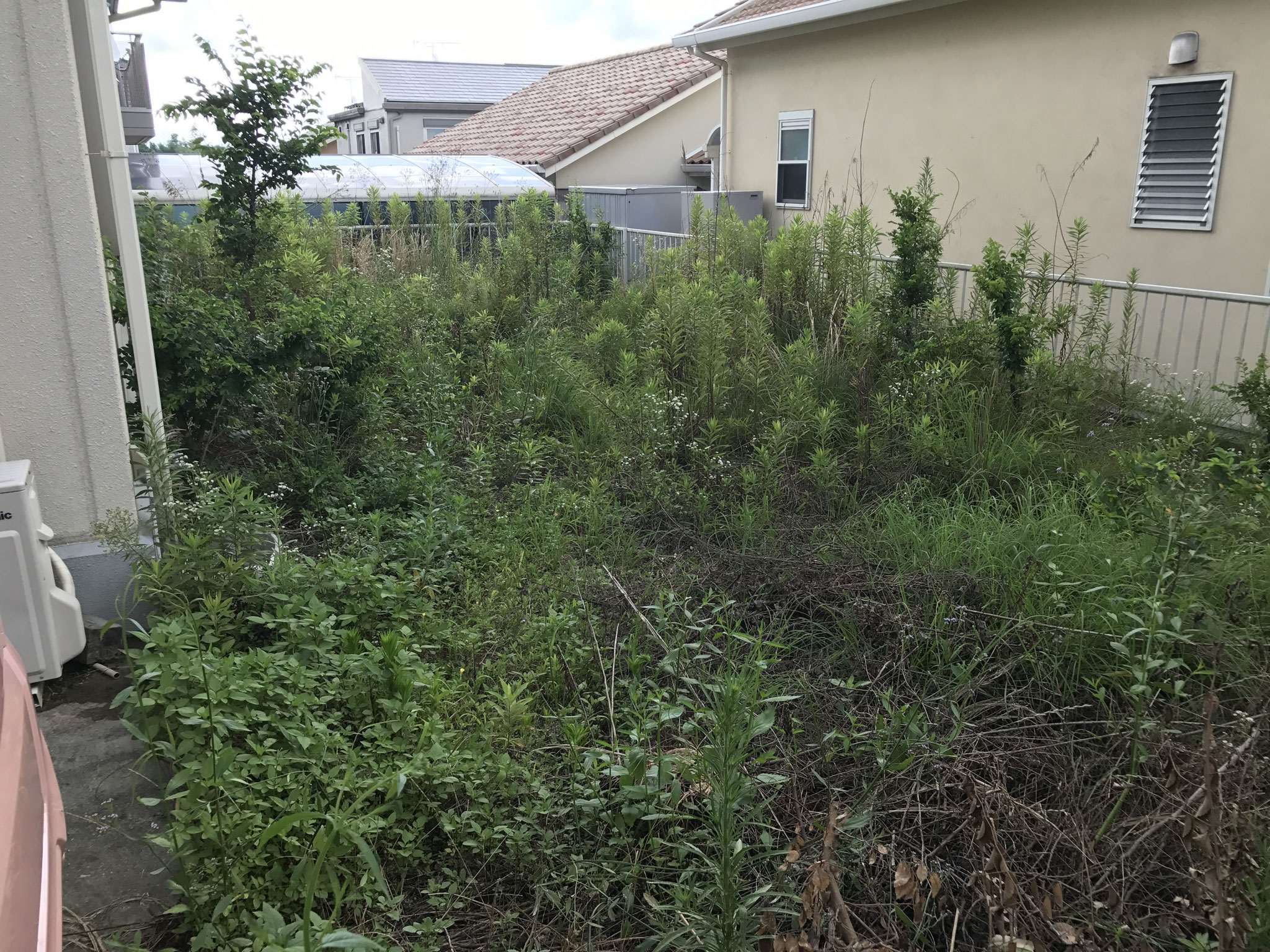 砂利　砂　左官砂　モルタル砂　山砂　庭　川砂　白川砂　混合　砕石　防犯砂利　バラス　石　栗石　黒土　チップ　庭石　熊本　熊本市　合志市　菊池市  益城　西原　ガーデニング　菊池郡　小売り　配達　個人　施工　工事　見積もり無料　エクステリア クラッシャーラン　砂利　川砂利　庭　熊本砂利販売　熊本砕石販売　熊本　田端商事　黒石高大　２トン　３トン　４トン　砂利販売　砕石販売　砂販売　アウトサイダー　outsider　クレジットカード　頑張ろう熊本　従業員募集　スタッフ募集 地震　益城役場　雑草対策　草なしくん　防草工事　除草　除草工事　防草シート　安い　激安　おすすめ　口コミ　人気　イケメン除草剤 田端プリンス　田端王子　熊本ナンバーワン　信用１番  光の森　菊陽　合志市　大津　熊本市北区　熊本市中央区　熊本市東区　熊本市　東区　宇城市　益城　