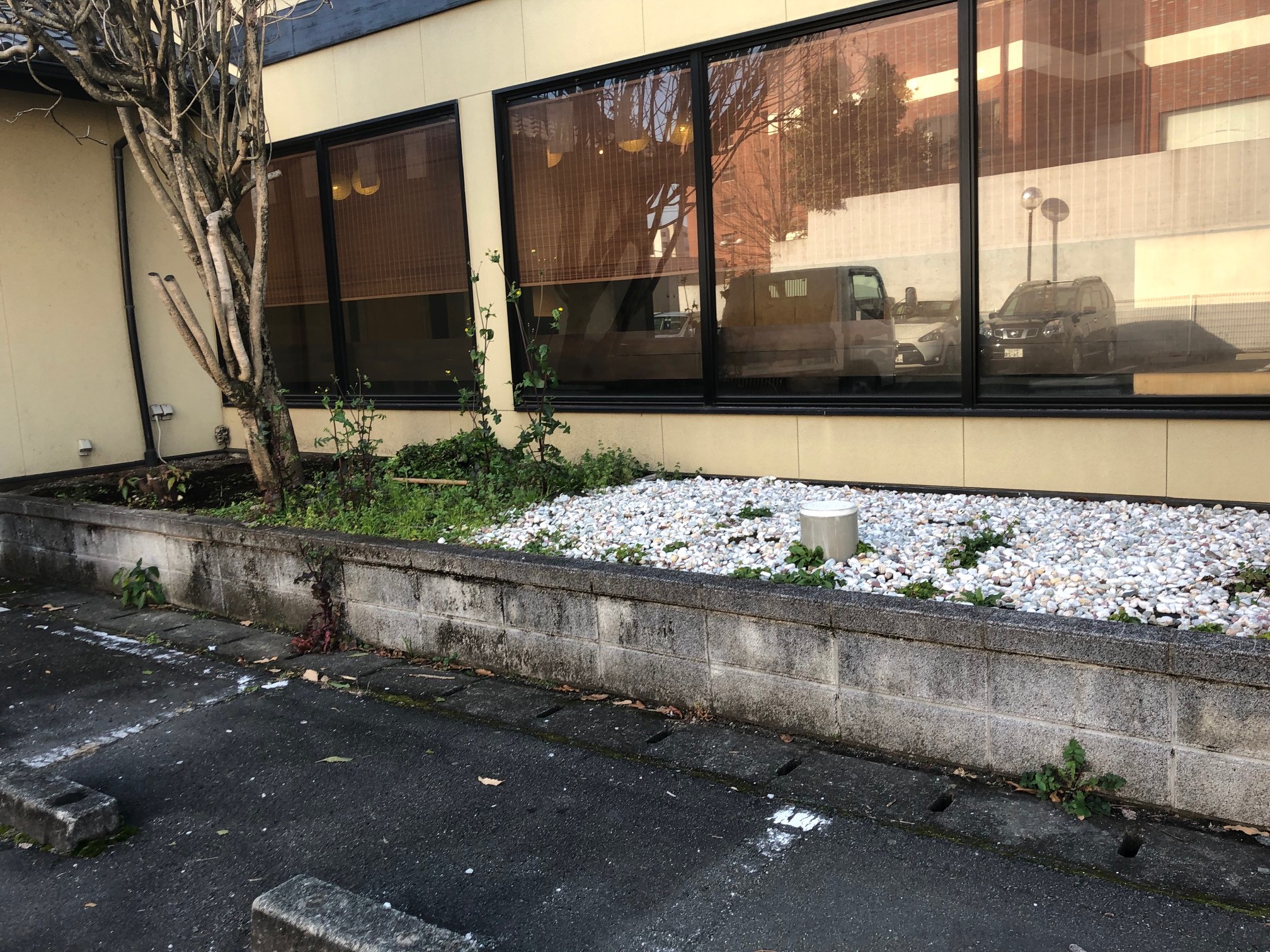 砂利　砂　左官砂　モルタル砂　山砂　庭　川砂　白川砂　混合　砕石　防犯砂利　バラス　石　栗石　黒土　チップ　庭石　熊本　熊本市　合志市　菊池市  益城　西原　ガーデニング　菊池郡　小売り　配達　個人　施工　工事　見積もり無料　エクステリア クラッシャーラン　砂利　川砂利　庭　熊本砂利販売　熊本砕石販売　熊本　田端商事　黒石高大　２トン　３トン　４トン　砂利販売　砕石販売　砂販売　アウトサイダー　outsider　クレジットカード　頑張ろう熊本　従業員募集　スタッフ募集 地震　益城役場　雑草対策　草なしくん　防草工事　除草　除草工事　防草シート　安い　激安　おすすめ　口コミ　人気　イケメン除草剤 田端プリンス　田端王子　熊本ナンバーワン　信用１番  光の森　菊陽　合志市　大津　熊本市北区　熊本市中央区　熊本市東区　熊本市　東区　宇城市　益城　