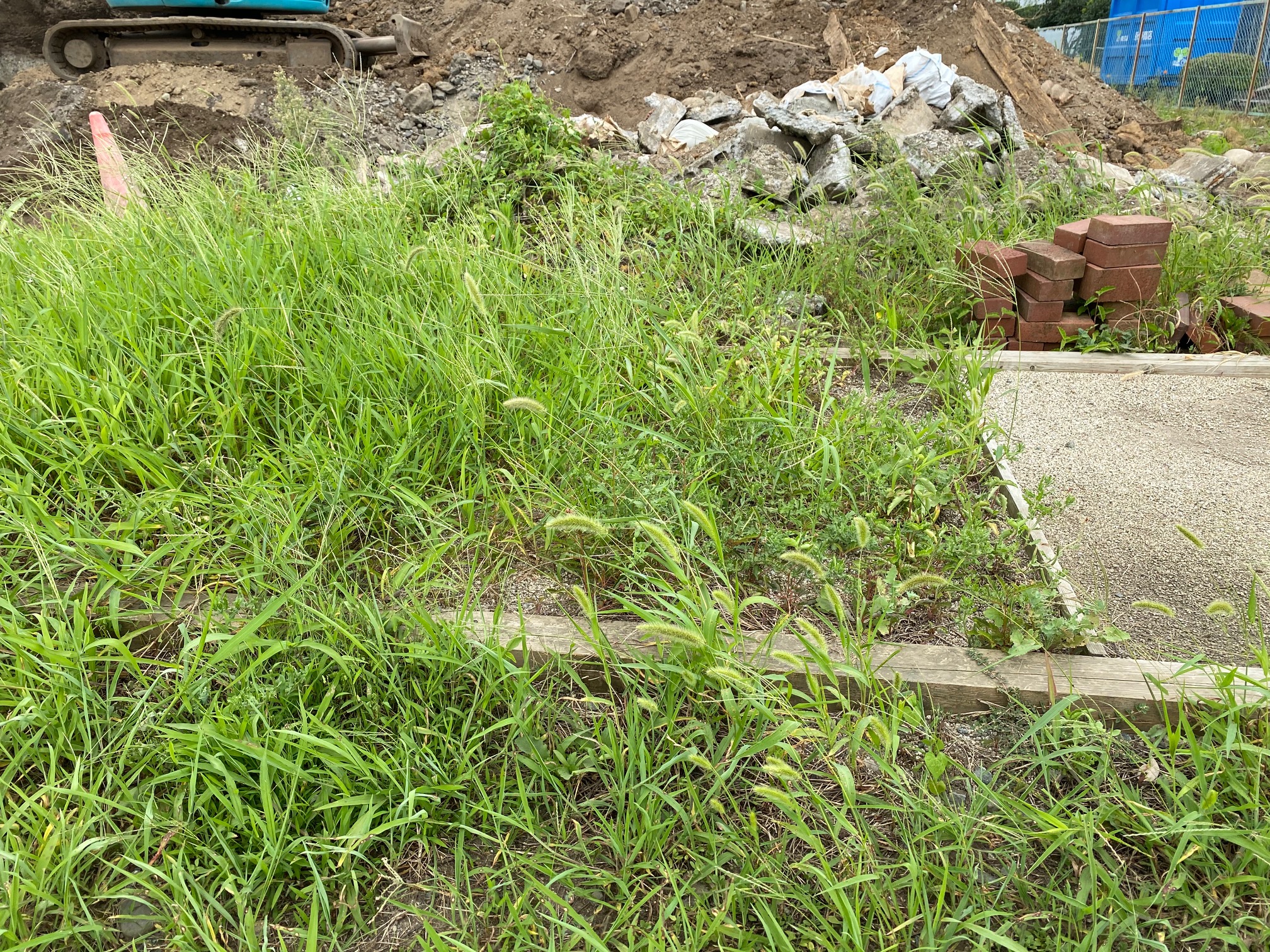 草なしくん　砂利　砂　左官砂　モルタル砂　山砂　庭　川砂　白川砂　混合　砕石　防犯砂利　バラス　石　栗石　黒土　チップ　庭石　熊本　熊本市　合志市　菊池市  益城　西原　ガーデニング　菊池郡　小売り　配達　個人　施工　工事　見積もり無料　エクステリア クラッシャーラン　砂利　川砂利　庭　熊本砂利販売　熊本砕石販売　熊本　田端商事　黒石高大　２トン　３トン　４トン　砂利販売　砕石販売　砂販売　アウトサイダー　outsider　クレジットカード　頑張ろう熊本　従業員募集　スタッフ募集 地震　益城役場　雑草対策　草なしくん　防草工事　除草　除草工事　防草シート　安い　激安　おすすめ　口コミ　人気　イケメン除草剤 田端プリンス　田端王子　熊本ナンバーワン　信用１番  光の森　菊陽　合志市　大津　熊本市北区　熊本市中央区　熊本市東区　熊本市　東区　宇城市　益城　草なしくんしか勝たん