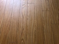 特殊清掃手直し前