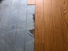 特殊清掃手直し前２