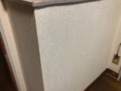 特殊清掃(猫の吐血)施工後