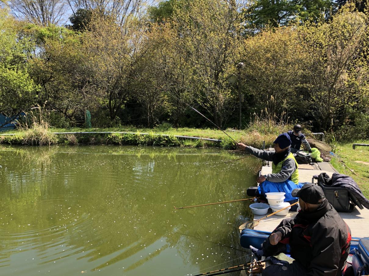 へら鮒 清川つくしフィッシングセンター-今日の天気と釣り