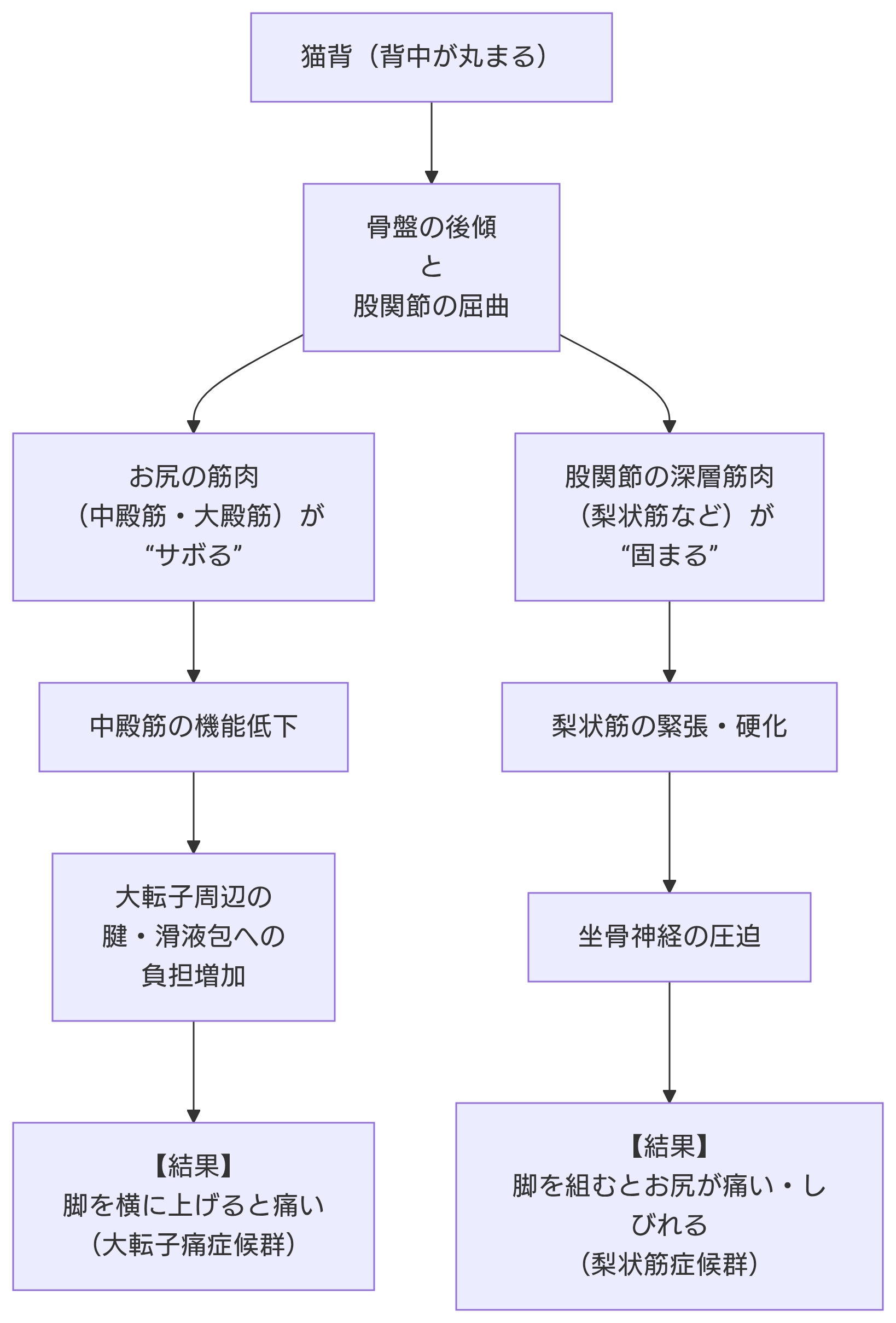 町田・相模大野・古淵の整骨院。猫背、股関節の治療を図で解説