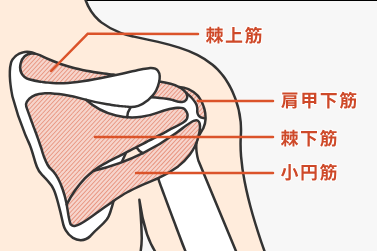 町田・相模大野・古淵の整骨院