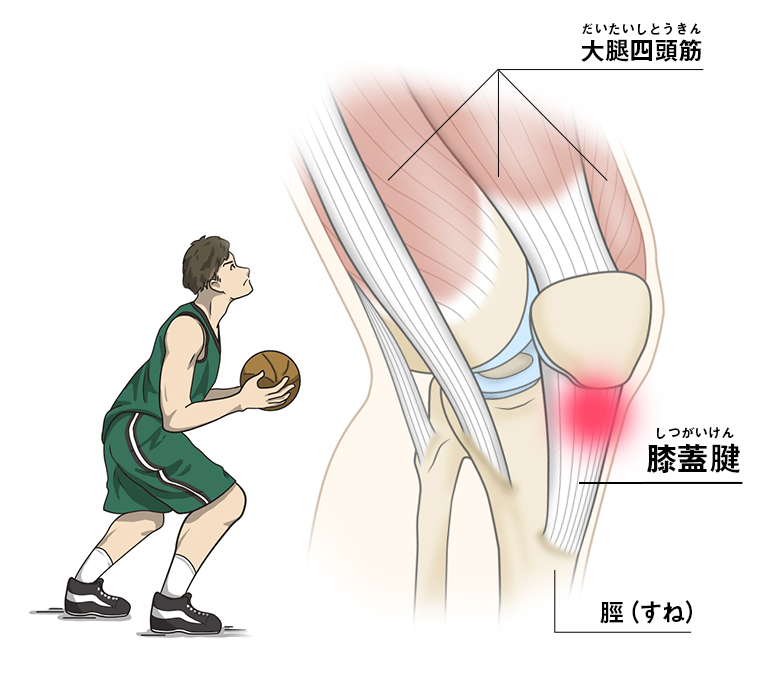 町田整体、相模大野整体、古淵整体、相模原整体