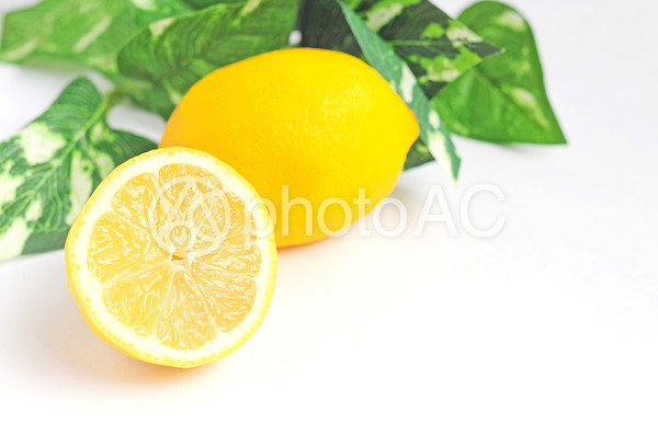 写真の無料素材 写真ac