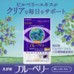 えがおのブルーベリー