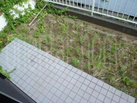 サニーサイドヒル茅ヶ崎南 横浜賃貸 Jp