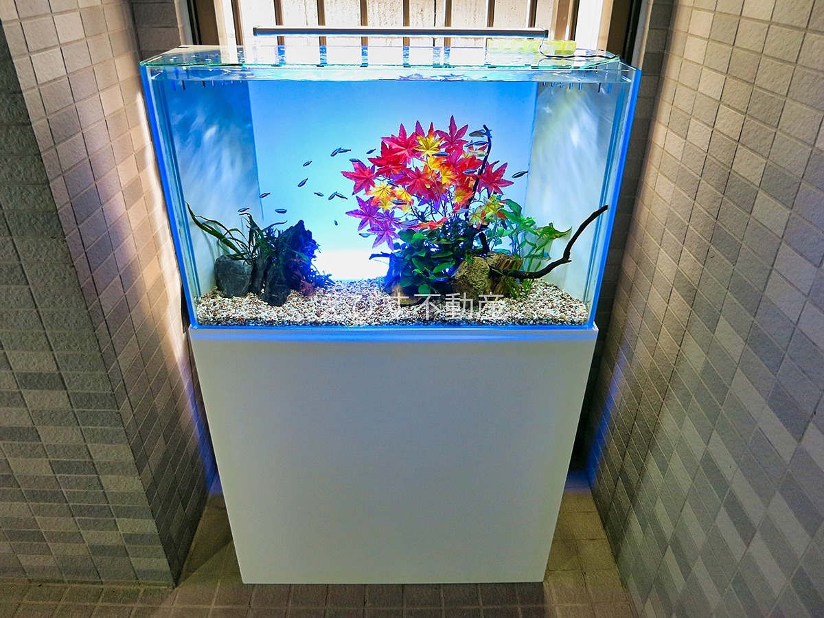 K Mアネックス 恵比寿の賃貸専門店 えびす不動産 K Mアネックス 恵比寿の賃貸専門店 えびす不動産