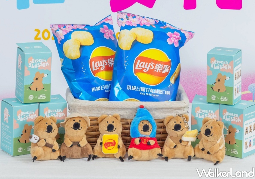 7-ELEVEN櫻花季新品  / WalkerLand窩客島整理提供 未經許可，不得轉載
