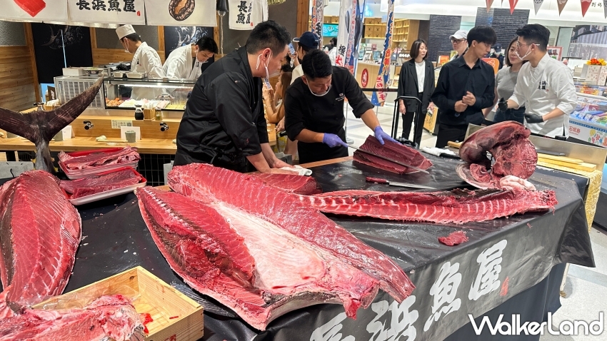 日本摩登屋台料理「長浜魚屋」頂級黑鮪魚丼飯、豪華海鮮丼飯