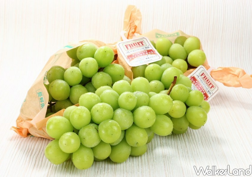 愛買日本麝香葡萄優惠、中秋優惠 / WalkerLand窩客島整理提供 未經許可不可轉載。