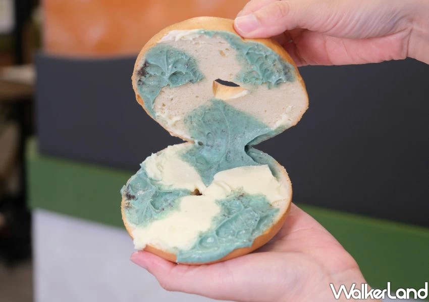 早餐就吃拉亞！日本爆夯薄荷巧克力來襲　爆餡貝果、可頌新登場。