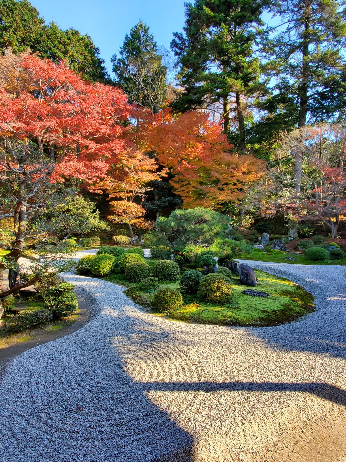 曼殊院門跡 Travelwalker 找景點