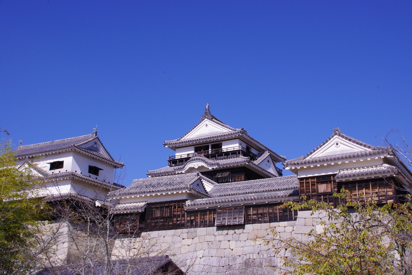 松山城 Travelwalker 找景點