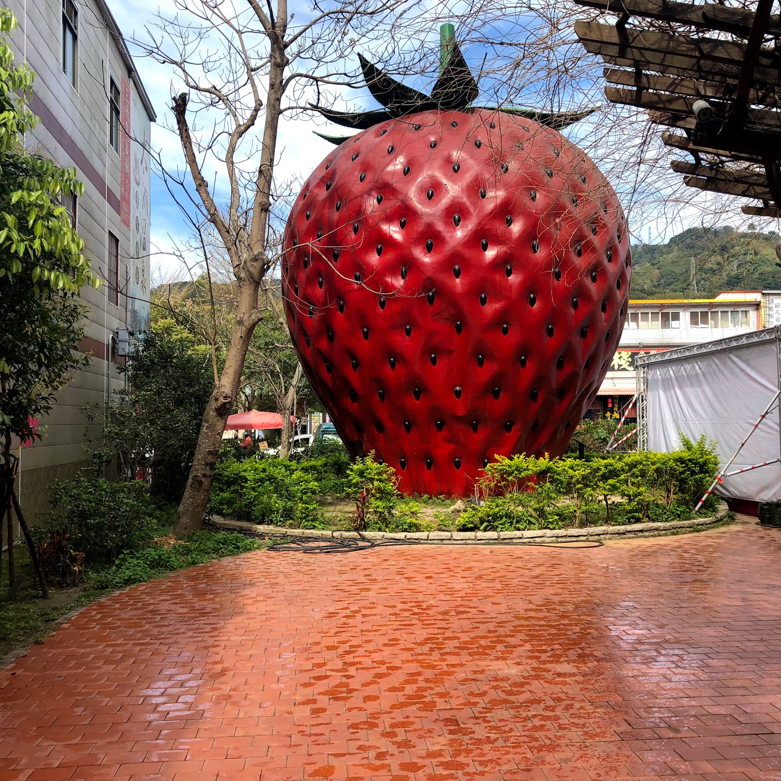 大湖草莓觀光休閒農場 Travelwalker 找景點