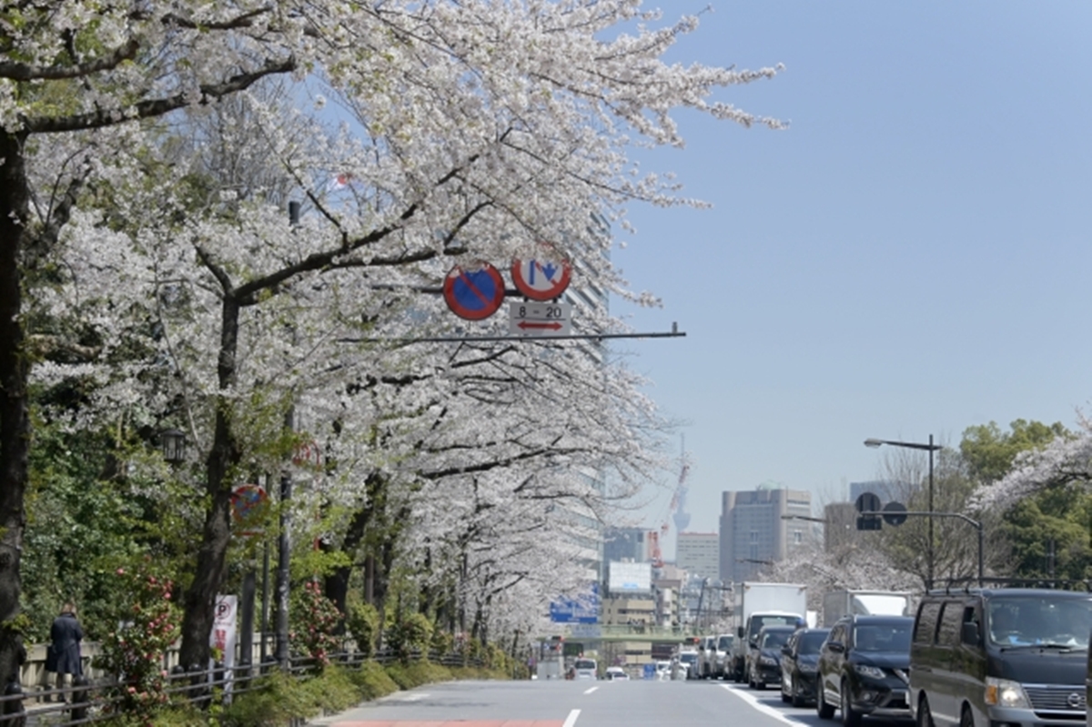 代官町大道 代官町大道