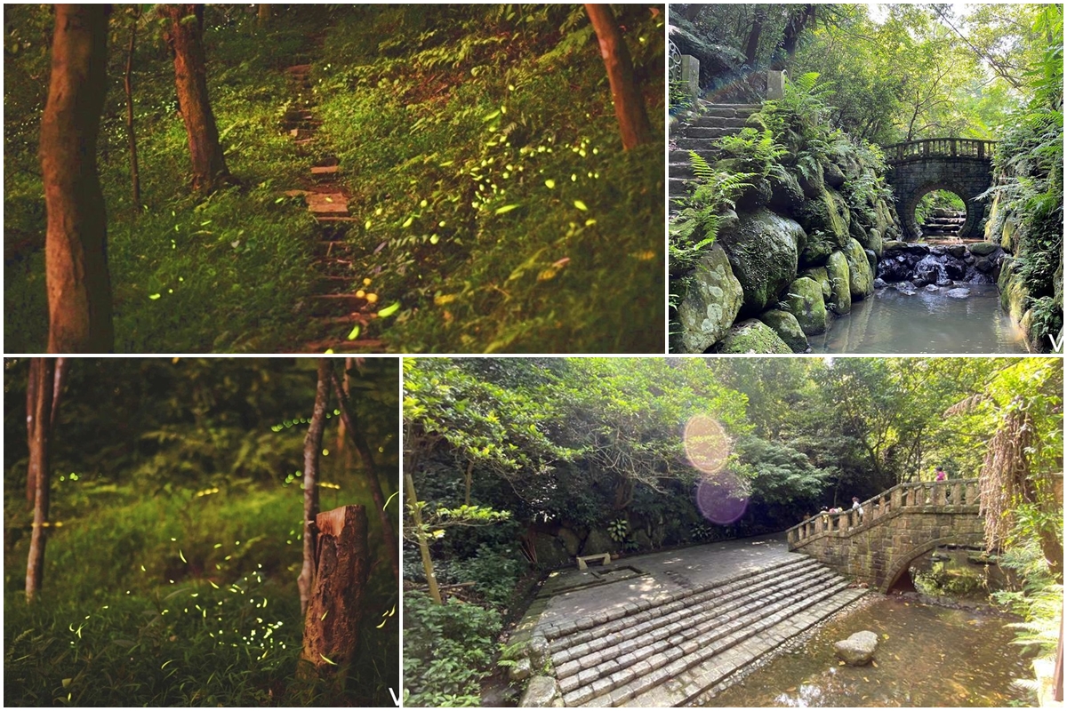 虎山親山步道 虎山親山步道