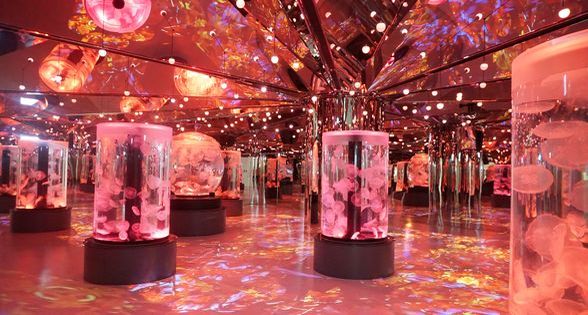 搭上桃園捷運輕鬆玩3天2夜 沿線最新xpark 打卡夯點 吃喝玩樂不能停 Travelwalker 看行程