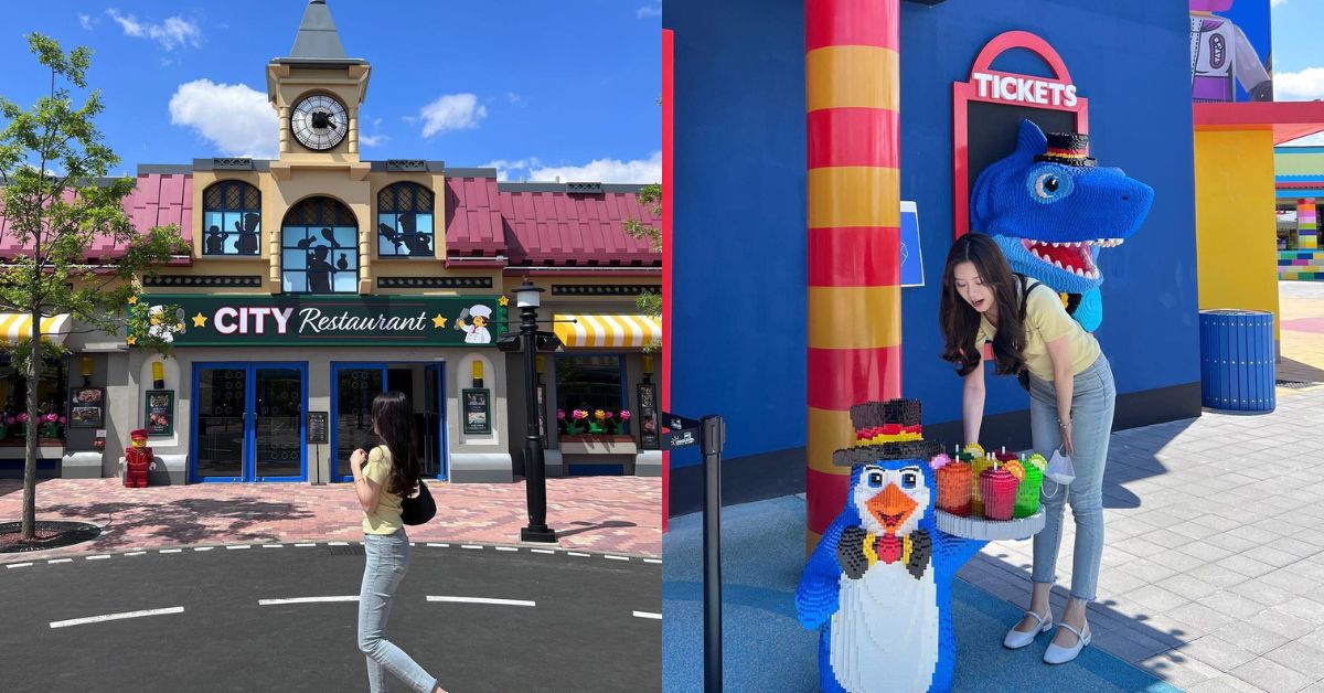 韓國春川悠閒之旅！賞南怡島秋天最美銀杏路，體驗全韓最長湖水纜車「三岳山湖水纜車」