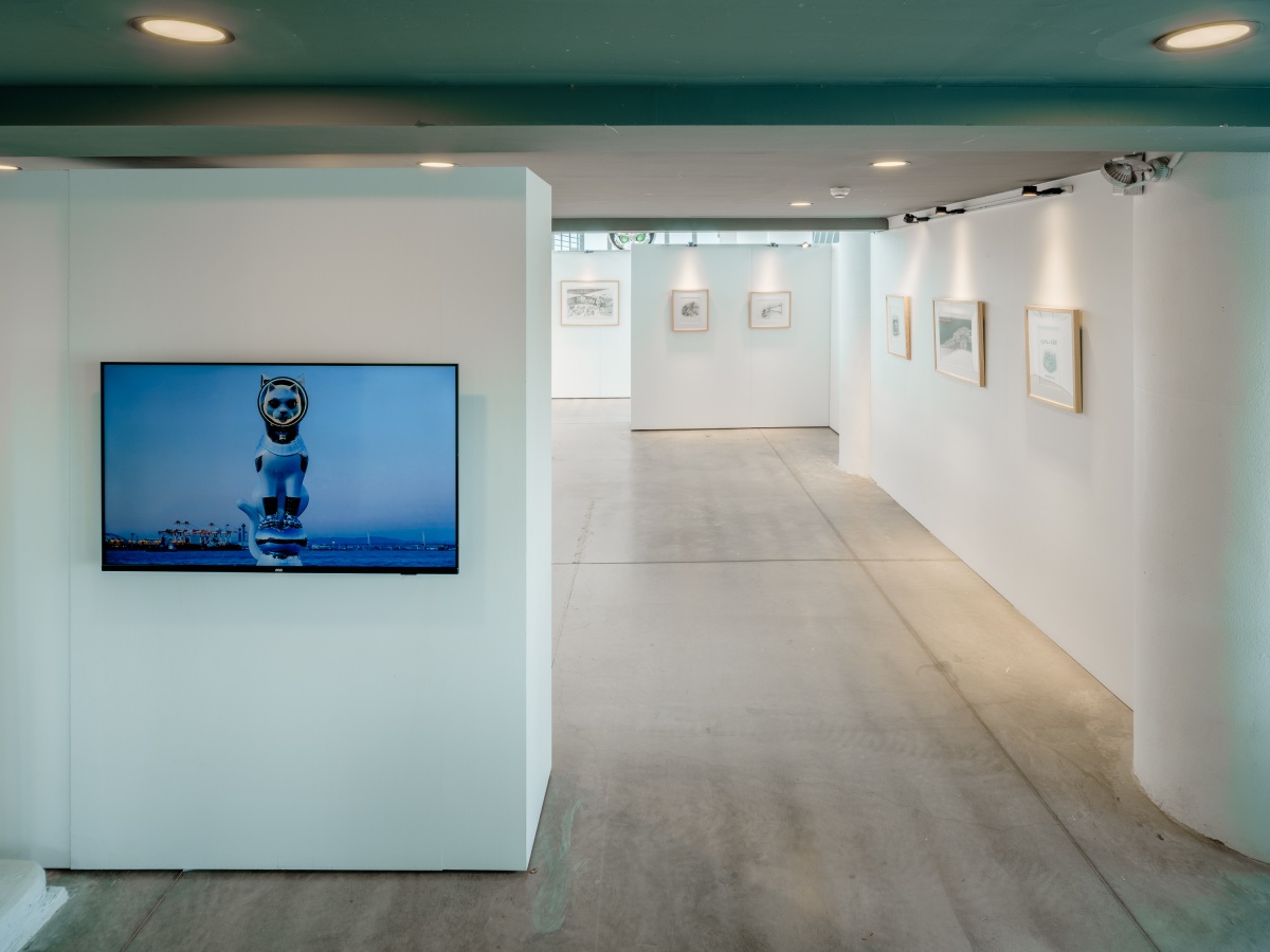 超萌「護港神貓」降臨屏東看海美術館！日本藝術家《船仔貓》特展必拍3大打卡點、展覽亮點一次看