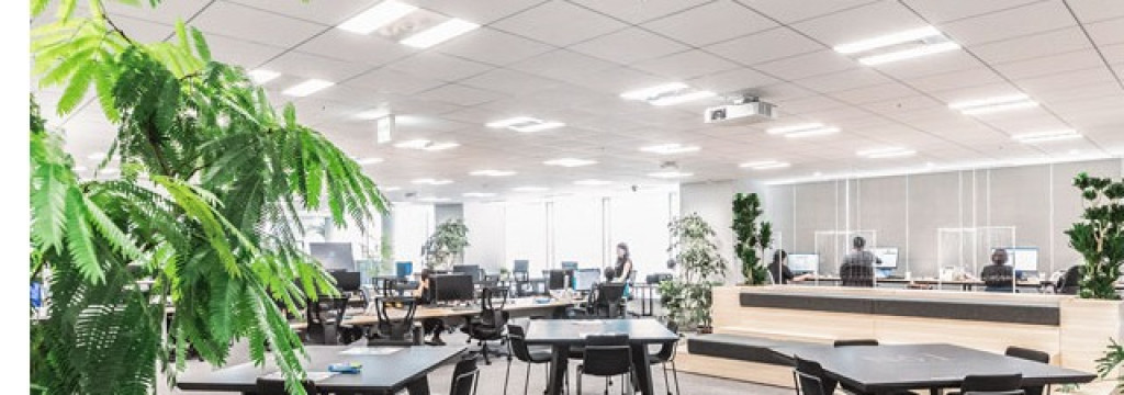 GMOあおぞらネット銀行株式会社の生成AIで金融業務を進化させる｜AIエージェント開発メンバー募集のカバー画像