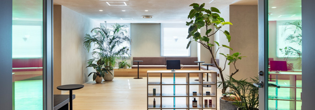 オーガニックグループ株式会社の【渋谷】裁量×爆速成長｜社長直下の長期フルコミット型インターンでWEBマーケティングの本質的スキルを習得しませんかのカバー画像