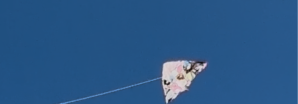 イーズ合同会社の【フルリモート可】SES営業インターン募集／インセンティブ制度あり！のカバー画像