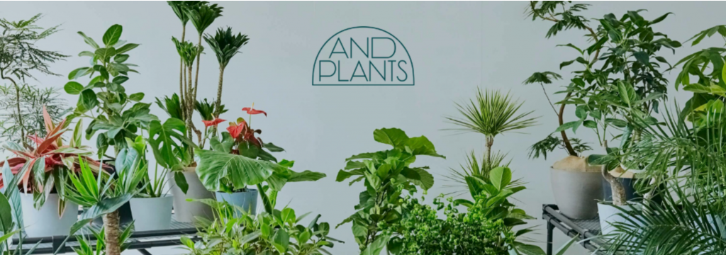 株式会社domuzのsnsマーケティング オペレーション管理のインターンシップ Infraインターン