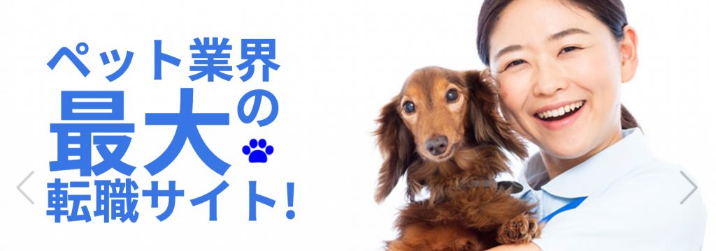 株式会社EISHINの【未経験歓迎／インセンティブ支給あり】就活前に役員直下で圧倒的営業スキルを身につける！自社求人媒体「ペットのおしごと」の立ち上げのカバー画像