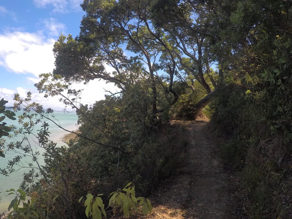 Waiheke Island walkways Walk 8