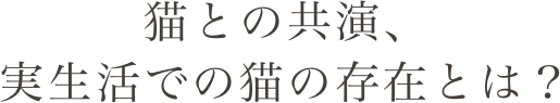 猫との共演、実生活での猫の存在とは？