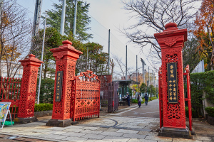 学習院女子　秋のイベント