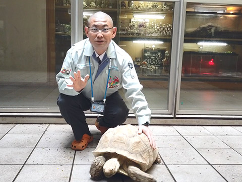 先生の前には学校で飼育している大きな亀が!