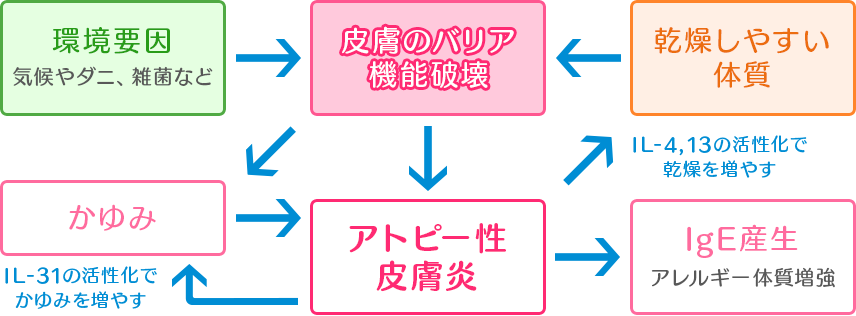 アトピー性皮膚炎の原因と症状の相関図 アトピー性皮膚炎の原因と症状の相関図