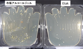 12時間後時点での比較