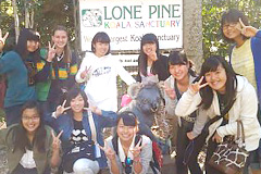 語学研修のポイント