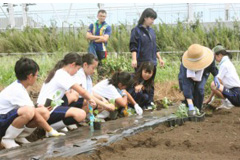 フィールドワークのポイント