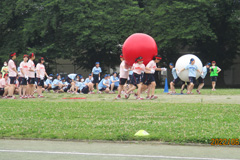白梅学園清修中学校・白梅学園高等学校清修中高一貫部 体育祭の様子