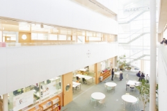 開放感たっぷりの吹き抜けの空間。職員室の真横に位置するアトリウムには椅子と机が置かれ、自習スペースとして一番人気のスペースです。すぐ隣にいる先生に見守られながら、勉強や先生との会話が楽しめるのも魅力。晴れた日に差し込む光や夕焼けによって、幻想的な世界が広がります。